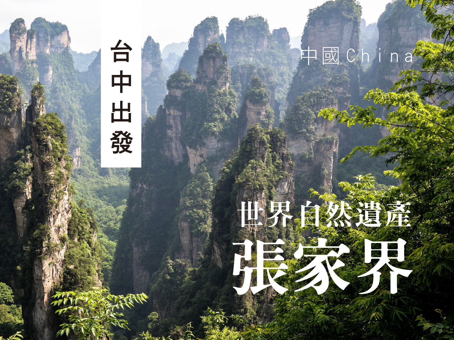 仙境張家界鳳凰古城袁家界天門山八日遊(文化考察團JX0315起)